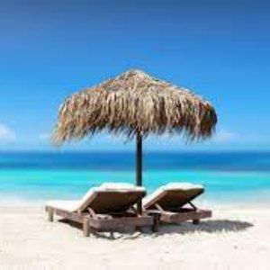 Meet your Posher, Michele